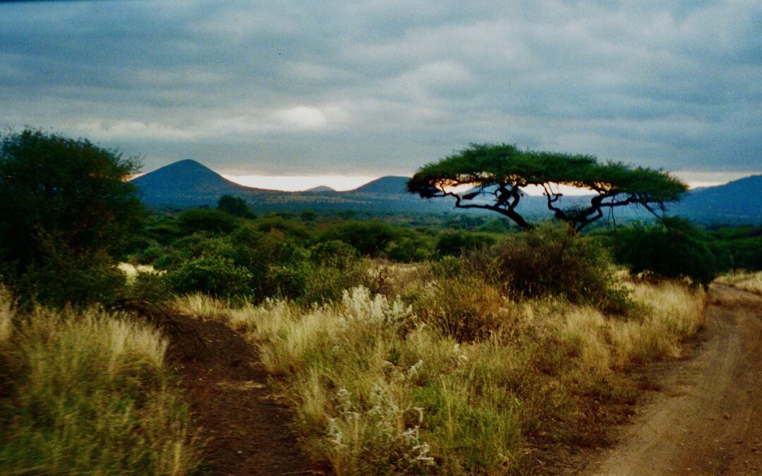 Travel stories from the Hart: What my body remembered in East Africa