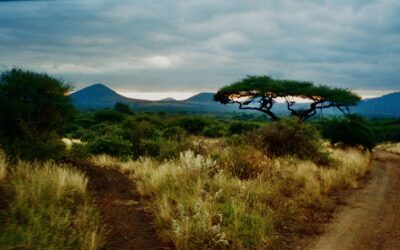 Travel stories from the Hart: What my body remembered in East Africa