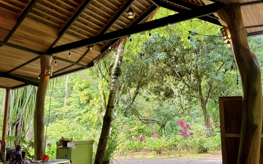 The Gift 💝 A lesson in generosity from Pachamama